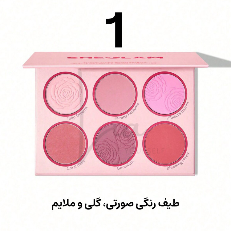 پالت رژگونه شش رنگ شیگلم مدل FLORAL FLUSH